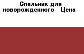 Спальник для новорожденного › Цена ­ 650 - Челябинская обл. Дети и материнство » Постельные принадлежности   